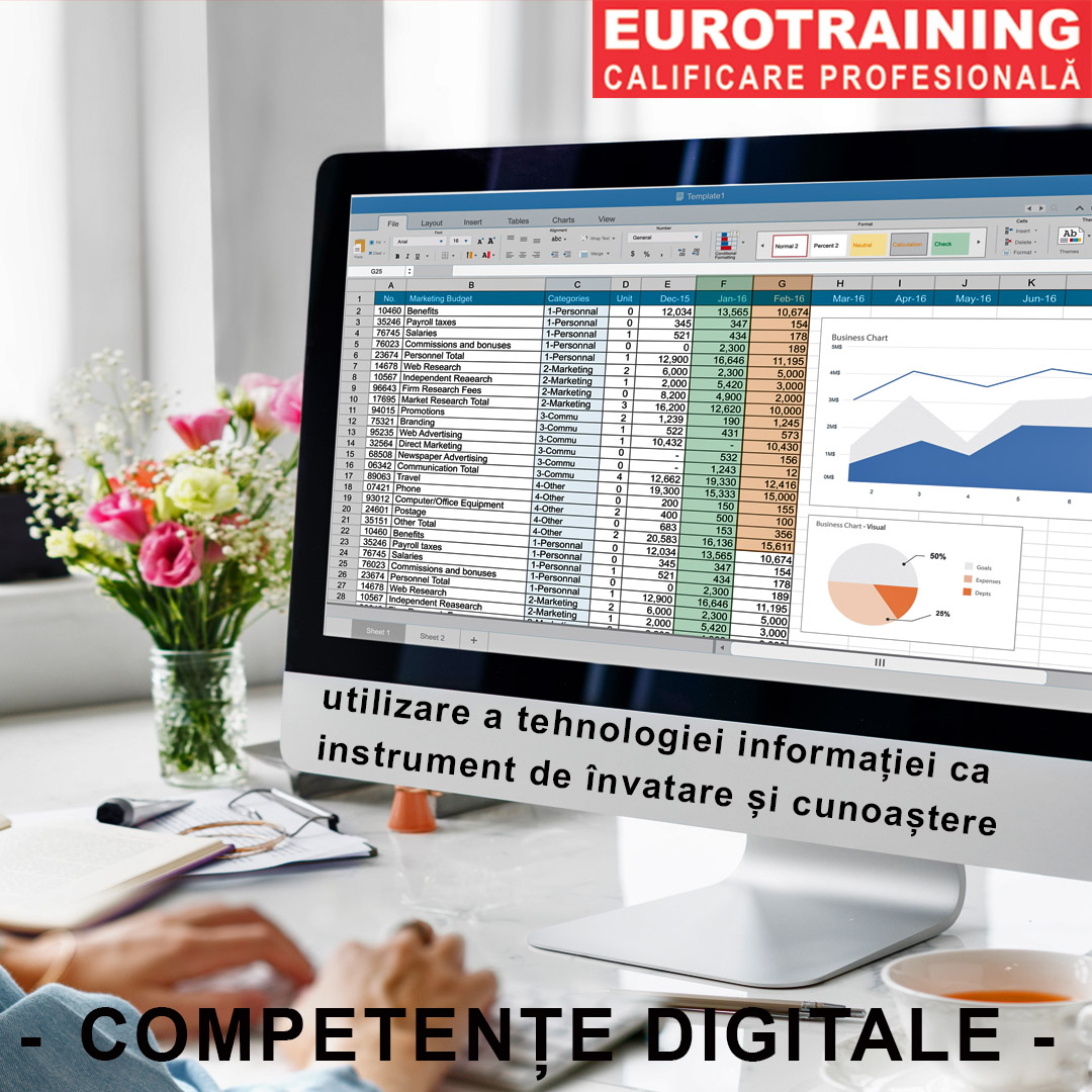Competențe Digitale