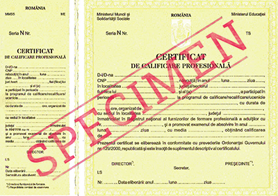 Model Diploma